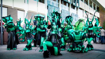 Insectiparadi