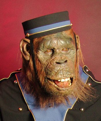 Bonny The Monkey
