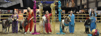 Arabian Pony World