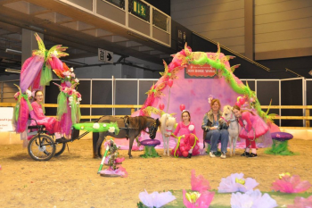 Fairy Pony World