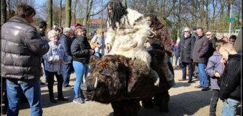Zwijnerij