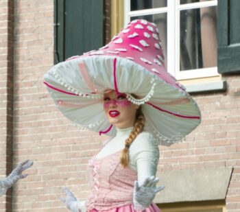 Pink Paddenstoel