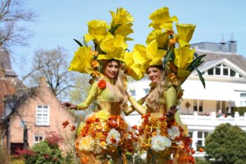 Zonnige Narcissen